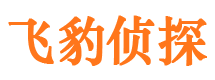 西和侦探公司